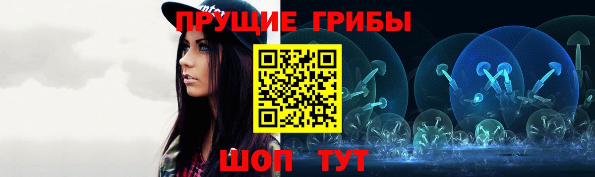 Галлюциногенные грибы Psilocybe Рузаевка